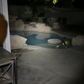 Primal EDC LED Flashlight